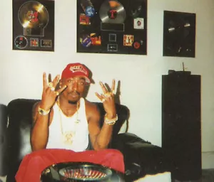 RIAA RECORD AWARD Dr. Dre Snoop Dogg Beats por dr dre PLATINO corredor de la muerte Tupac - Imagen 1 de 12