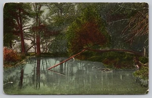 1916 Frankford, NJ -The Papakating Creek - Kittatinny Valley Sussex Cty Postcard - Picture 1 of 5