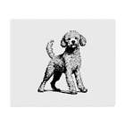 2 x 'Poodle Standing' Microfibre Lens / Glasses Cleaning Cloths (LC00024324)