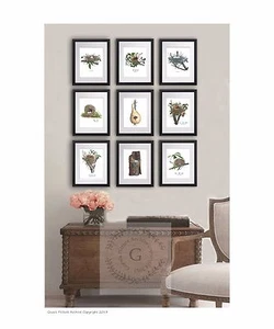 Juego de 9 impresiones artísticas antiguas de nido de pájaro estampados sala de estar colgante de pared - Imagen 1 de 10