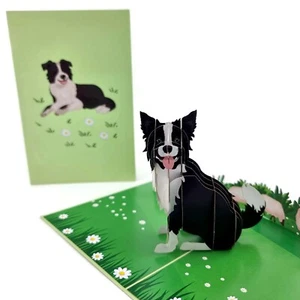 3D Pop-Up Karte: Border Collie Hund (mit weißem Briefumschlag und Notizzettel) - Bild 1 von 5
