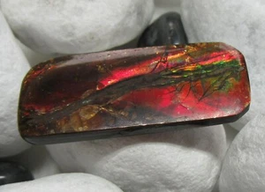 Echter natürlicher Ammolith Ammolit Riesenstein Drachenschuppe 35,5 Karat Nr:1 - Bild 1 von 2