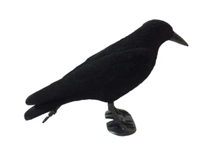 Flocked Crow Full Body Decoy Rook Raven Shooting Hunting with Feet & Stick Peg - Picture 1 of 6