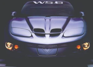Windshield Banner Decal Sticker fits Trans Am Firebird WS6 - Picture 1 of 2