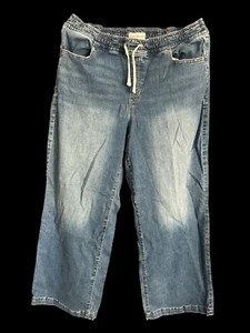 Lane Bryant Mid Rise Straight Jeans Größe 16S Damen Medium Wash Blau Stretch - Bild 1 von 4