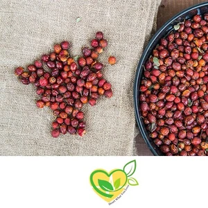 Rosehips Whole Herb 1 oz – Organic Dried Cut | Immune & Heart Support - Picture 1 of 11