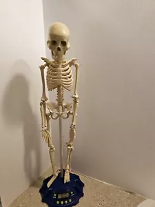 Smithsonian Incredible Talking Skelenton Over 2 Feet Tall Works - Picture 1 of 12
