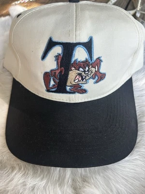 Vintage Taz Ball Cap Hat Tasmanian Devil Looney Tunes Snap Back Flat Warner Bro - Image 1 of 4