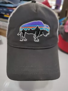Sombrero de camionero Patagonia Fitz Roy Bisonte gris búfalo delantero/blanco malla trasera - Imagen 1 de 7