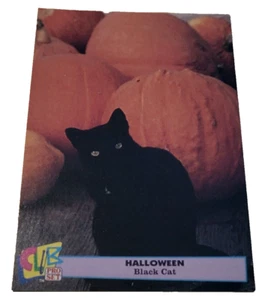 1992 Club Pro Set Halloween Trading Card #9 Black Cat (G7 - Bild 1 von 2