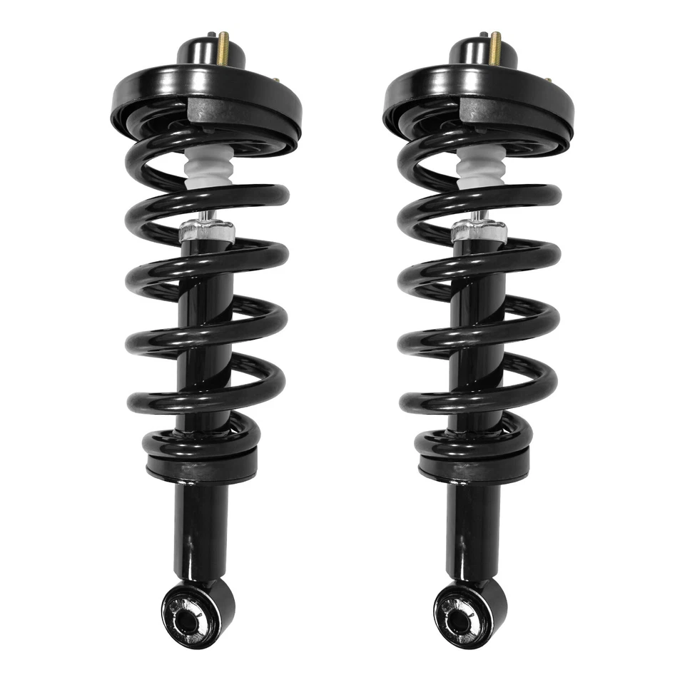 Rear Pair Complete Struts & Coil Springs for Ford Expedition Lincoln Navigator Foto 1 de 1