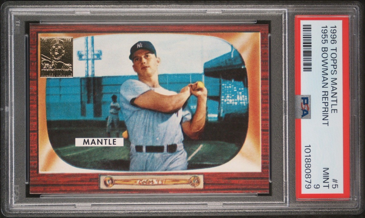 秋山翔吾 直筆サイン色紙 ケース入り 秋山翔吾 直筆サイン色紙 ケース