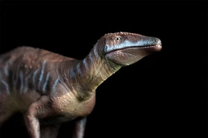 HAOLONGGOOD Escala 1:35 Megaraptor Modelo Velociraptor Dinosaurio Decoración Animal - Imagen 1 de 18