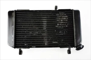 Radiador De Agua Original Suzuki SV 650 99 02 - Imagen 1 de 14