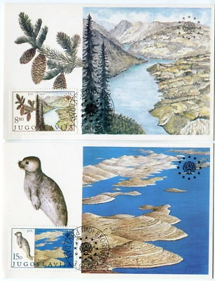 1944a - Yugoslavia 1982 - Protección de la Naturaleza - Fauna - Río Tara - Tarjeta Máxima Foto 1 de 2