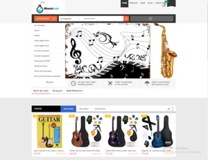 Afiliado de tienda de música para ganar dinero / envío directo / alojamiento gratuito / configuración - Imagen 1 de 1