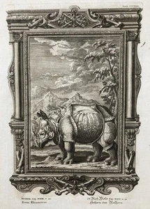 Physica Sacra Rhino Rhinoceros Print Scheuchzer Copperplate Duhrer Bible - Picture 1 of 1