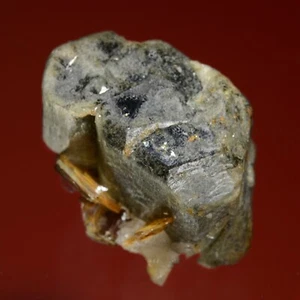 Fluorapatita colección Melanson TN con moscovita Minas Gerais, Brasil 1212-8845 - Imagen 1 de 6