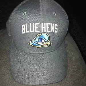 DELAWARE BLUE HENS Hat Cap NIKE DRI-FIT OSFA Sewn Logo Grey NCAA Flex Fit Adult - Picture 1 of 6