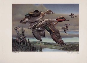 OREGON #9 1992 DUCK STAMP PRINT GREEN WINGED TEAL by Kip Richmond C.E. - Picture 1 of 1