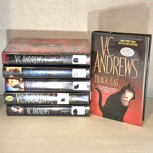 VC Andrew's Books Lot Fiction Family Dramas Secrets Gothic Horrors seen on TV - Picture 1 of 12