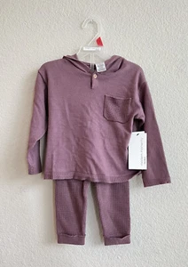 Toddler Girl Clothes Hoodie & Pant Set, 2-Piece, New 2T - Picture 1 of 7