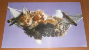 Kätzchen Hängematte Poster 34x22 - Bild 1 von 2