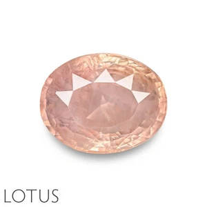 Lotus & IGI zertifizierter CEYLONESE Padparadscha Saphir 10,29 ct. natürlich unbeheizt - Bild 1 von 8