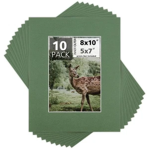 10er Pack 8x10 für 5x7 baskisch grün Matten Schrägschnitt säurefrei weißer Kern - Bild 1 von 7