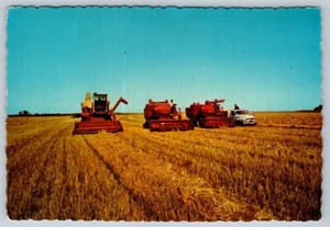 Harvest Time In Saskatchewan, 1974 Chrome Postcard - Bild 1 von 2