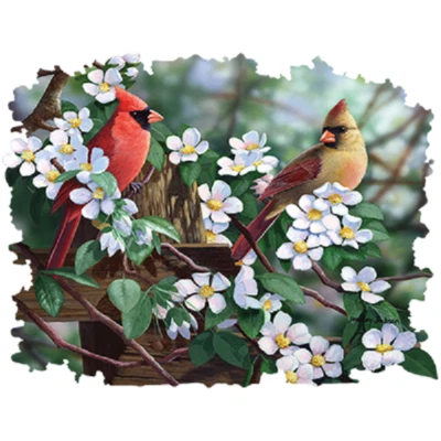 Весенние кардиналы толстовка/длинные рукава размеры/цвета - Изображение 1 из 2