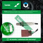 Lambda Sensor Fits Vw Polo Mk3 1.4 Post Cat 99 To 01 Oxygen Lucas 6K0906262a New