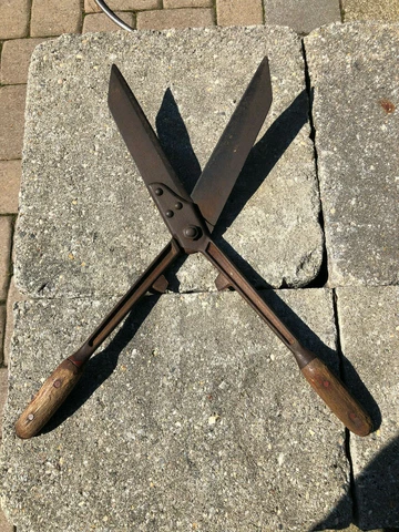 Rare Antique 1800's R. Heinisch Garden Shears Hedge Clippers Cover