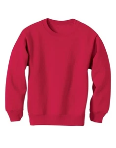 Hanes Boys Girls Crewneck Sweatshirt ComfortBlend EcoSmart Kids Youth Low Pill - Picture 1 of 6