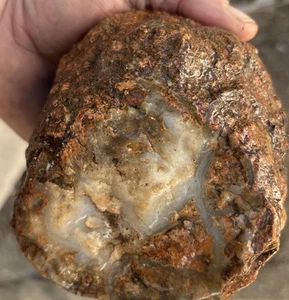 A lot of colorful coprolite dinosaur 4 Pounds 2 Ounces - Imagen 1 de 9