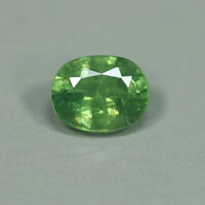 0.69 Cts_Great Horsetail Inclusion_100 % Natural Green Demantoid Garnet_Namibia - Picture 1 of 3