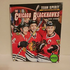 The Chicago Blackhawks Book By Mark Stewart Hardcover 2014 Team Spirit - Picture 1 of 4