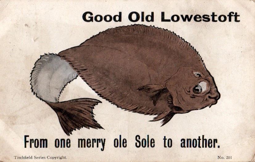 printed comic  lowestoft postcard, sole fish  posted 1910 - Image 1 of 1