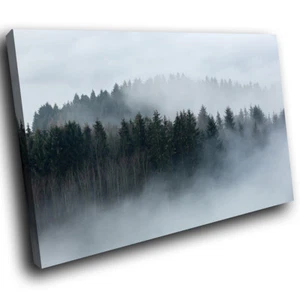 SC913 misty mountain forest Landscape Canvas  Art Large Picture Prints - Picture 1 of 6
