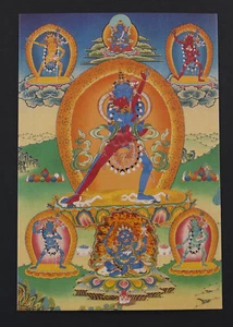 Carte postale Tibétaine Chakra Sambhara Vajrabarahi Art Bouddhique Tibet 26295 - Photo 1 sur 1