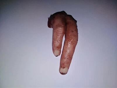Horror movie prop silicone severed finger film quality gore splatter zombie spfx - Image 1 of 3