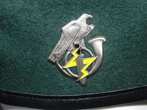 Lithuania Armys pec. force Jaeger battalion beret + badge - Picture 1 of 8