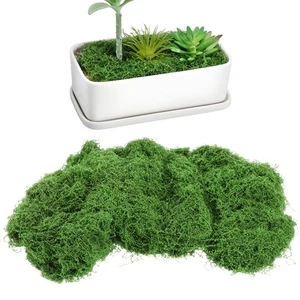  1 bolsa de musgo preservado para manualidades: decoración de musgo falso artificial verde para - Imagen 1 de 14