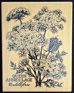 PSX Rubber Stamp K-2046 Queen Anne's Lace Flowers Botanical - Picture 1 of 2