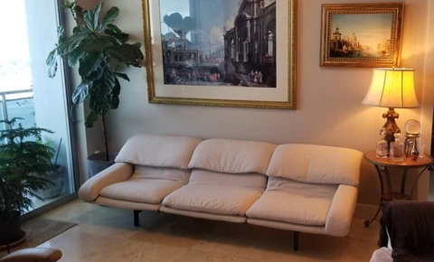 JUST REDUCED - SAPORITI, WAVE SOFA & LOVESEAT set - Reupholstered Cover
