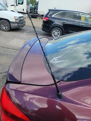 Mástil de antena de 16 pulgadas negro radio AM/FM para SCION tC 2005-2016 nuevo Foto 1 de 4