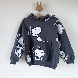 Peanuts Fleece Snoopy Hoodie Kids Pullover Sweatshirt Charcoal Gray Sz 5T - Picture 1 of 10