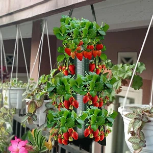 Strong Fabric Hanging Planter Grow Bag Plant Pouch Tomato Strawberry Flower Herb - Picture 1 of 13