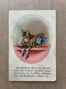 Vintage VICTORIAN RELIGIOUS TRADE CARD Cat Kitten 2 TIMOTHY 2:24 - Picture 1 of 3