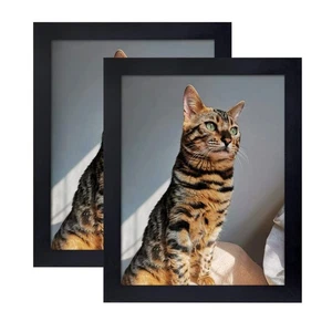 Picture Frame 8x10 Inch Set of 2,Made of Wood, Wall Mount Vertically or Horiz... - Picture 1 of 9